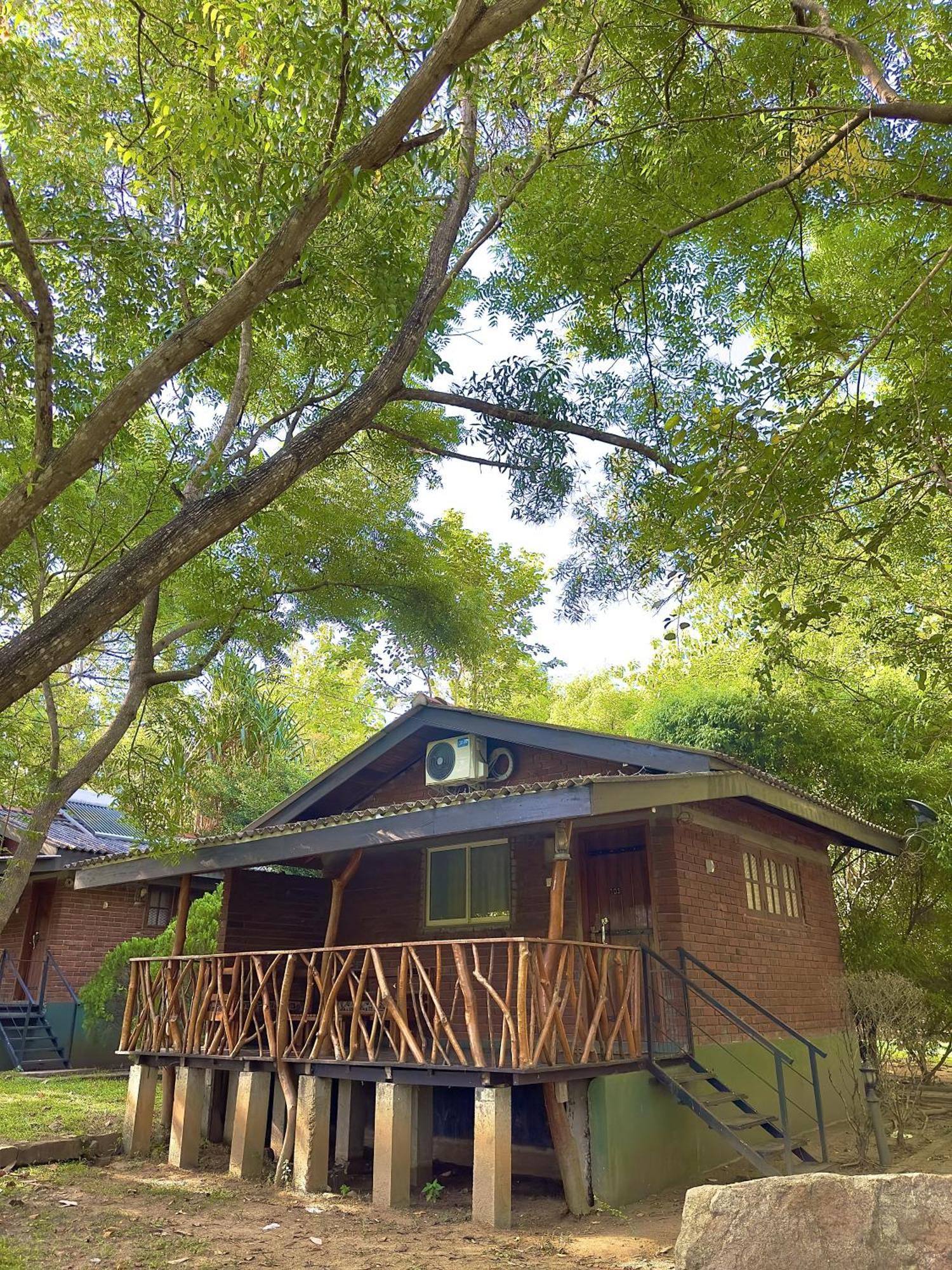 Birds Paradise Inn อุดาวาลาเว ภายนอก รูปภาพ